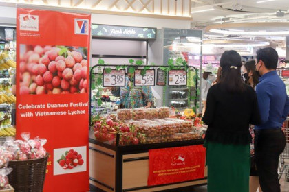 Vải thiều vào Singapore: “Bàn đạp” mới cho nông sản Việt