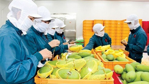 "Cửa sáng" cho xuất khẩu rau quả Việt tại thị trường Anh