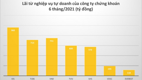 “Soi” danh mục của những công ty chứng khoán lãi kỷ lục mảng tự doanh