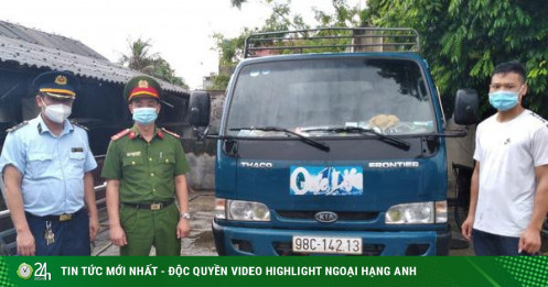 Mang 1,8 tấn lợn bị dịch tả lợn châu Phi vào tỉnh Bắc Giang tiêu thụ, lái xe bị phạt nặng