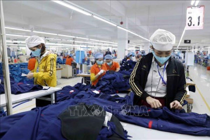 Việt Nam gần như xuất siêu tuyệt đối sang thị trường châu Phi