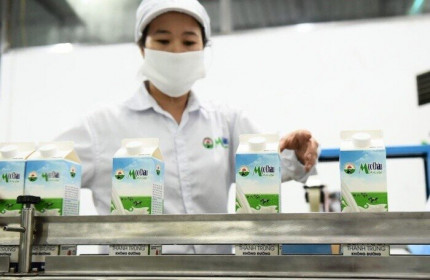 Mộc Châu Milk: Lãi bán niên tăng gần 28%, giá nguyên liệu giảm nhờ thuộc hệ sinh thái Vinamilk