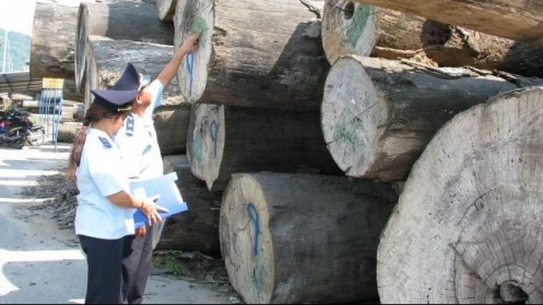 Cảnh báo hiện tượng “mượn” xuất xứ đối với mặt hàng đồ gỗ xuất khẩu