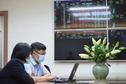 VN-Index nhảy múa liên tục: Bắt đáy hay thoát lỗ?