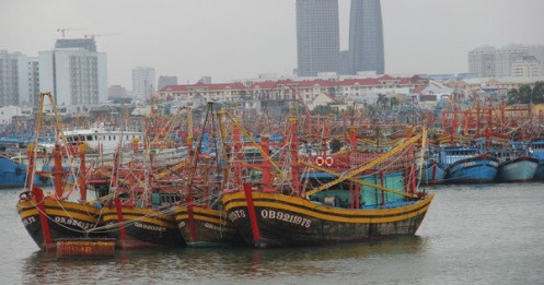 Có 19 ca mắc liên quan, Đà Nẵng đóng cửa cảng cá lớn nhất miền Trung