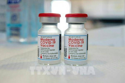 Moderna thông báo chậm cung ứng vaccine ngừa COVID-19 cho các nước bên ngoài Mỹ