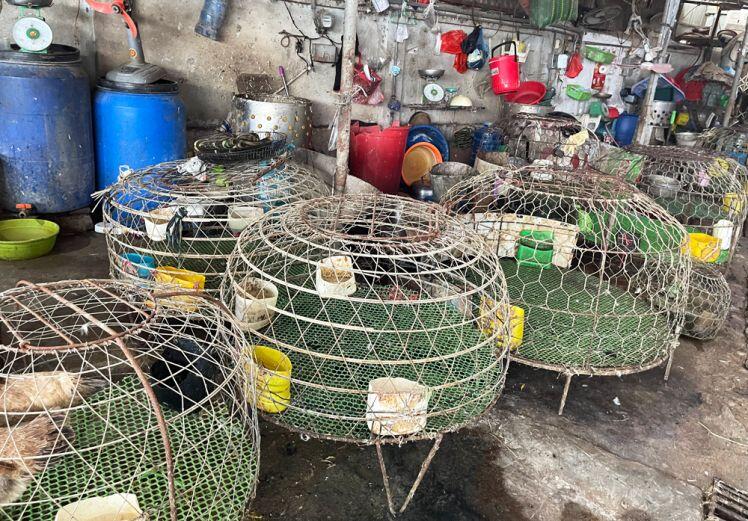 Hà Đông: Thực phẩm “cháy hàng” ở chợ dân sinh