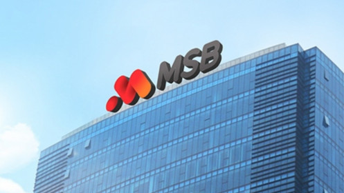 Nợ nghi ngờ và nguy cơ mất vốn của MSB tăng cao, vượt 1.500 tỷ đồng
