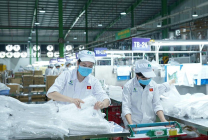 AAA báo lãi 182 tỷ đồng nửa đầu năm, tăng trưởng hơn 33% so với cùng kỳ