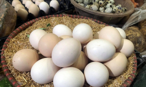 Vì sao giá trứng gà, vịt tăng tới 6.000 đồng/quả?