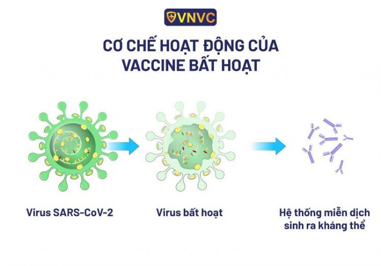 Bạn biết gì về 2 loại vaccine ngừa COVID-19 của Trung Quốc?