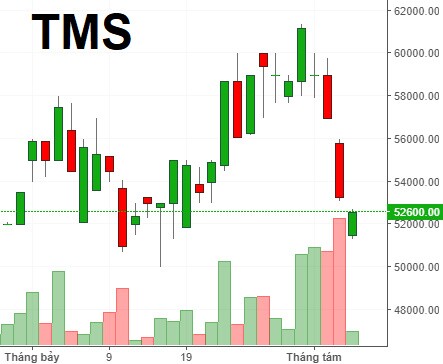 TMS giảm sâu trước tin chào bán riêng lẻ 12 triệu cp giá 40,000 đồng/cp