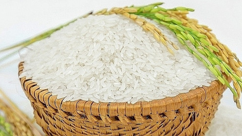Giá lúa gạo hôm nay 5/8: Giá lúa giảm nhẹ