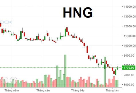 HAG không bán hơn 51 triệu cổ phiếu HNG như dự kiến