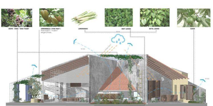 Độc đáo với nhà cấp 4 không cửa, dùng vườn để "bẫy" gió ở TP. Hồ Chí Minh