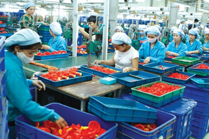 Tăng thuế nhập khẩu nguyên liệu PP lên 6% sẽ “hạ gục” ngành nhựa Việt