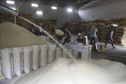 Giá gạo Ấn Độ giảm xuống thấp