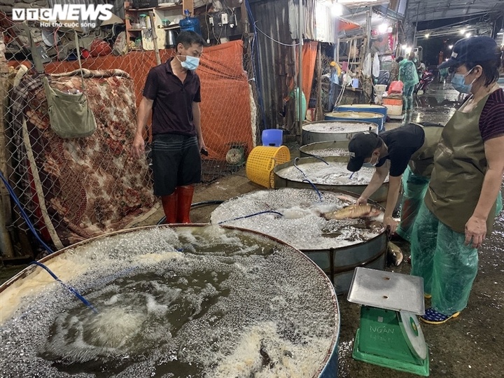 Ảnh: Chợ cá lớn nhất Hà Nội hoang vắng, tiểu thương nghỉ quá nửa vì COVID-19