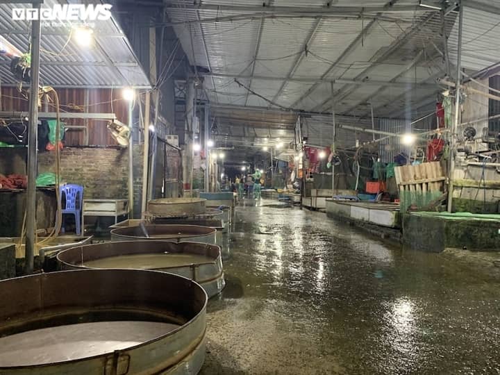 Ảnh: Chợ cá lớn nhất Hà Nội hoang vắng, tiểu thương nghỉ quá nửa vì COVID-19