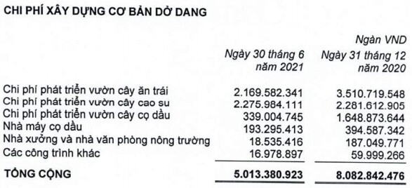 HNG báo lỗ 129 tỷ trong quý 2/2021, lỗ lũy kế vượt 2,400 tỷ đồng