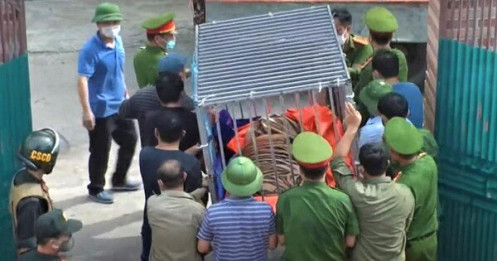 Vụ nuôi nhốt 17 con hổ ở Nghệ An: Khởi tố, bắt tạm một bị can