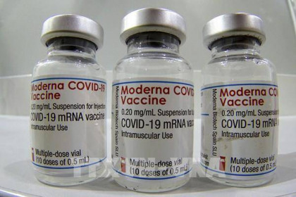 TP.HCM đang tích cực đàm phán mua 5 triệu liều vaccine Moderna