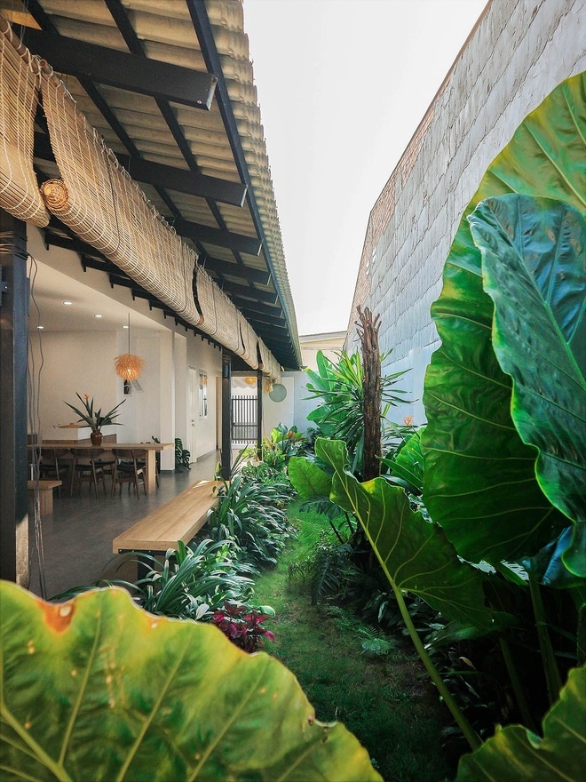 Ngôi nhà Tây Ninh thiết kế mở với vườn cây xanh của gia đình 3 thế hệ