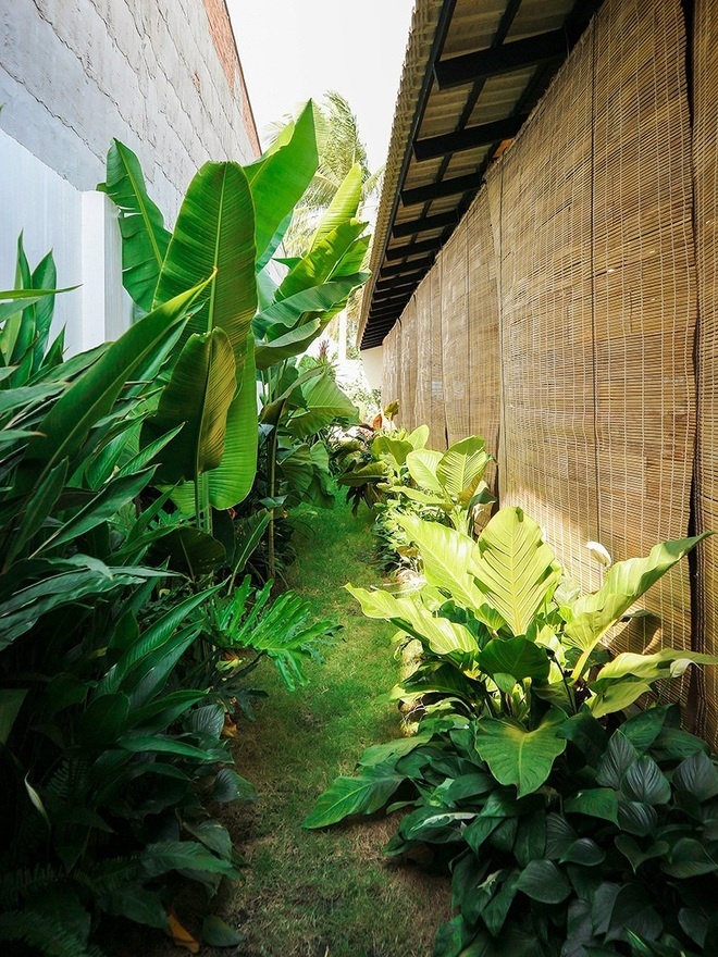 Ngôi nhà Tây Ninh thiết kế mở với vườn cây xanh của gia đình 3 thế hệ