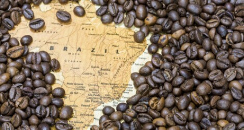 Brazil: Sản lượng xuất khẩu cà phê giảm gần 13% do chuỗi logistics gặp khó, thiếu container