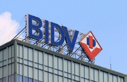 BIDV sắp đấu giá khoản nợ hơn 285 tỷ đồng của Thủy sản Chất Lượng Vàng