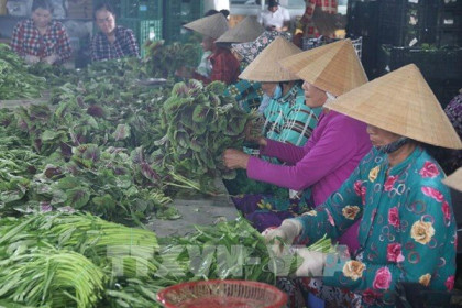 Dịch COVID-19: Tiền Giang hỗ trợ nông dân đẩy mạnh tiêu thụ hàng hóa, nông sản