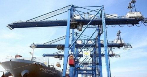 Cổ phiếu vận tải biển về đâu sau đà tăng nóng?