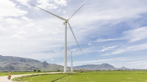 Nhiều tỉnh “sốt ruột” xin gia hạn áp dụng giá ưu đãi cho điện gió vì Covid-19