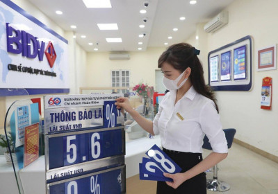 Hạ lãi suất cho vay, không cần cho tất cả