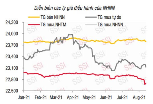 Ngân hàng Nhà nước đổi “chiến thuật”: Tỷ giá USD/VND giảm sâu, khác biệt tại chợ đen