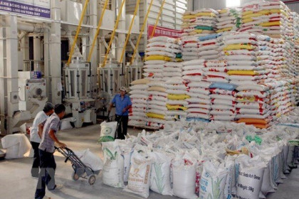Thị trường nông sản tuần qua: Giá gạo Ấn Độ giảm xuống mức thấp trong bốn năm rưỡi