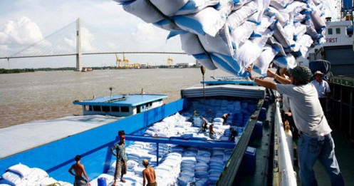 Giá gạo xuất khẩu của Việt Nam “trượt” không phanh vì dịch bệnh