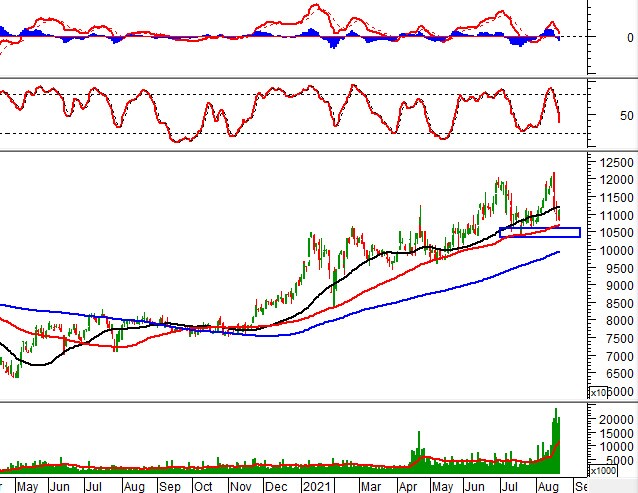 Tuần 23-27/08/2021: 10 cổ phiếu “nóng” dưới góc nhìn PTKT của Vietstock