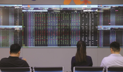 Làm thế nào bảo vệ thành quả đầu tư?