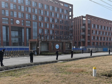 Báo cáo nguồn gốc COVID-19 có thể được công bố vào tuần tới