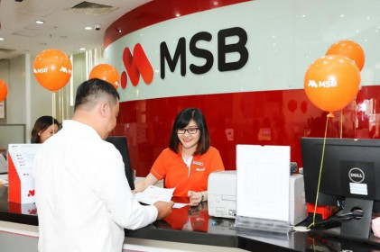 Cổ đông lớn vừa mua thêm 6,3 triệu cổ phiếu Ngân hàng Hàng Hải (MSB)