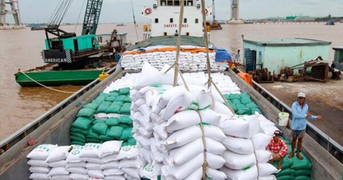 Giá gạo xuất khẩu rớt xuống mức thấp nhất trong 2 năm