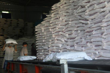 Tiền Giang cung ứng hàng nông sản phục vụ thị trường phía Nam