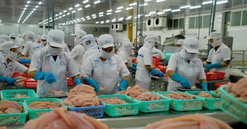 Xuất khẩu cá tra sang Trung Quốc tiếp tục giảm do hàng rào thương mại
