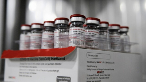 WHO bắt đầu phân phối vaccine Trung Quốc, dự kiến giao 100 triệu liều trong 1 tháng