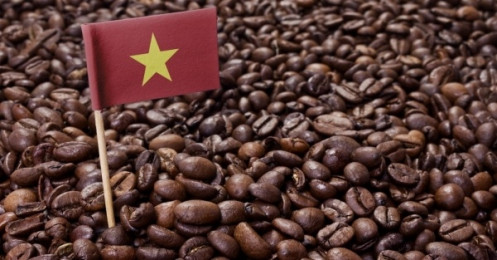 Giá cà phê hôm nay 29/8: Robusta vượt ngưỡng 2.000 USD; Thị trường cà phê pha sẵn của Hàn Quốc tăng trưởng gần 6%