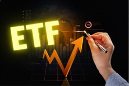 Cổ phiếu nào sẽ được gọi tên trong kỳ review tháng 9/2021 của các ETF ngoại?
