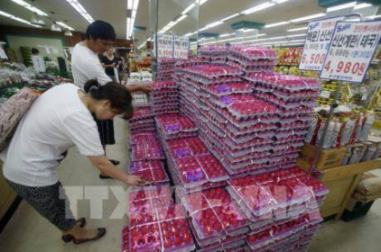 Doanh số bán lẻ của Hàn Quốc tăng trong giai đoạn dịch COVID-19