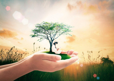 Thị trường tài chính 24h: Cổ phiếu thép còn cơ hội bứt phá