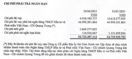 HAGL và QCG, doanh nghiệp của các đại gia phố Núi đang nợ khủng cỡ nào?